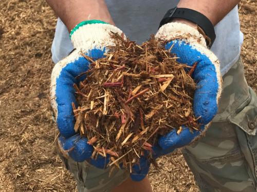 CEDAR WOOD MULCH