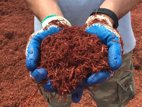 PREMIUM RED DYED MULCH