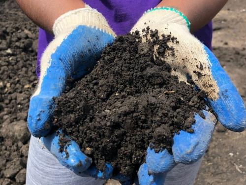 BLACK ORGANIC TOPSOIL