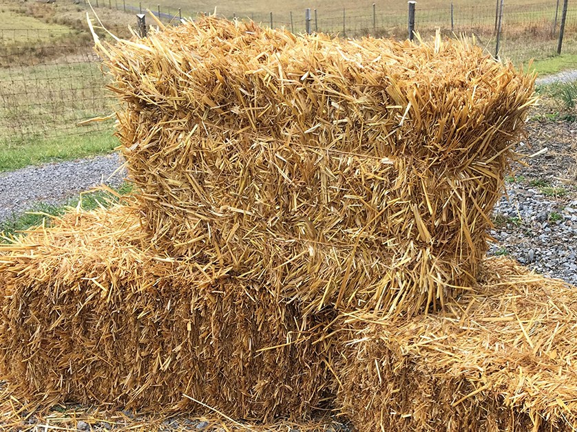  Garden Elements Straw Bale by Shady Creek Farm, Multiple Uses  for Farm & Home (30-36) : Patio, Lawn & Garden